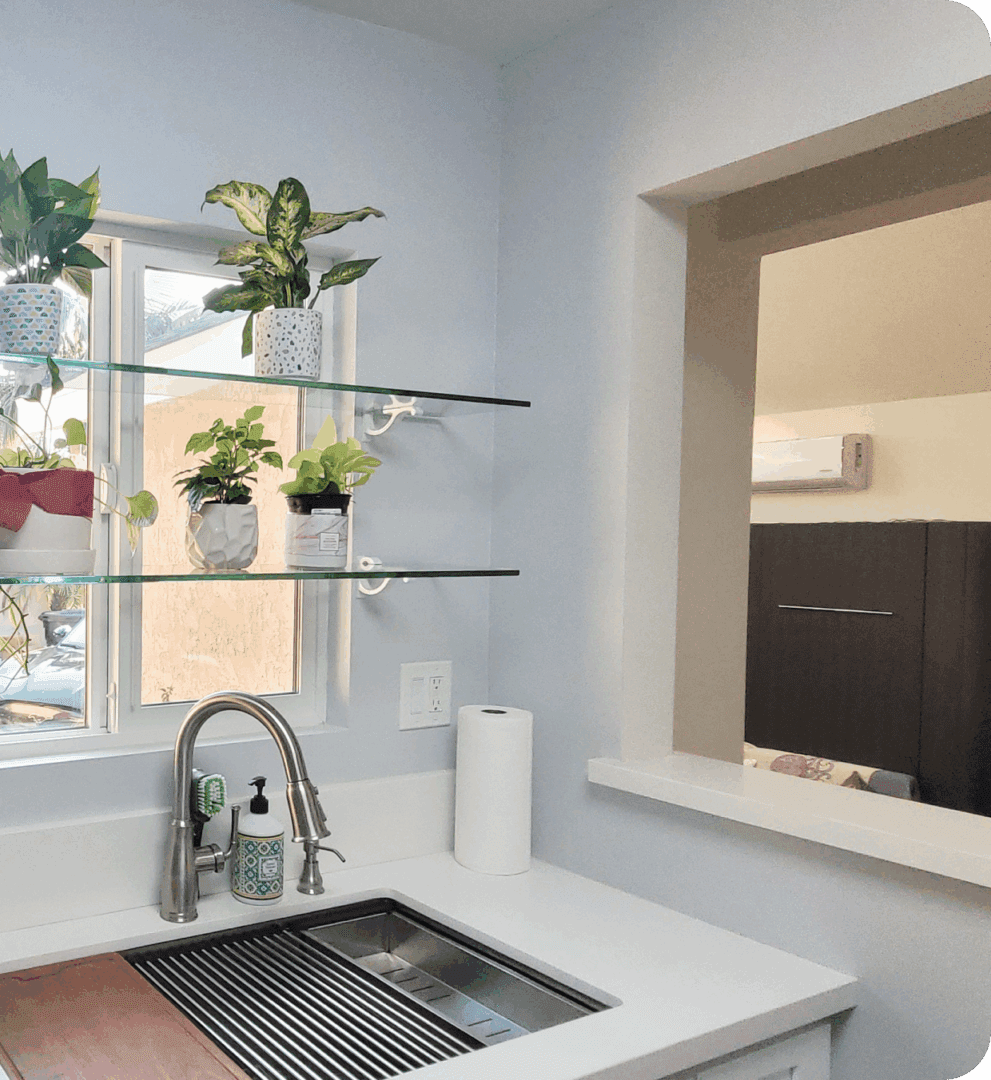 Kitchen sink with plants on shelves